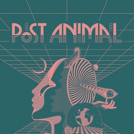 Post Animal - Levitation Sessions