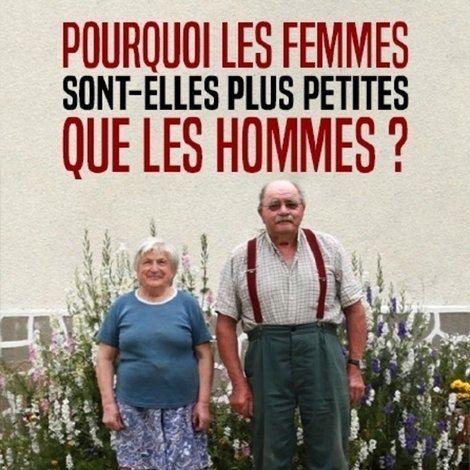 Pourquoi les femmes sont-elles plus petites que les hommes ?
