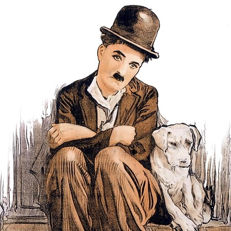 A Dog's Life