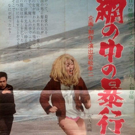 網の中の暴行
