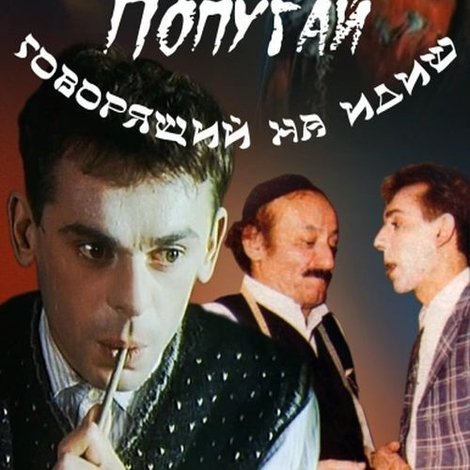 Попугай, говорящий на идиш