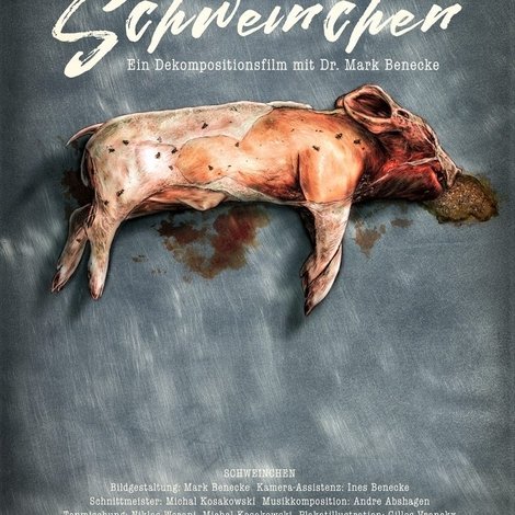 Schweinchen