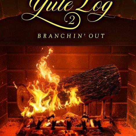 Adult Swim Yule Log 2: Branchin' Out