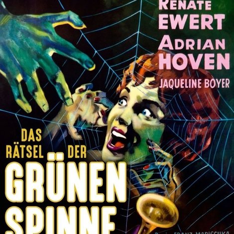 Das Rätsel der grünen Spinne
