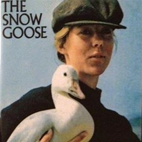The Snow Goose