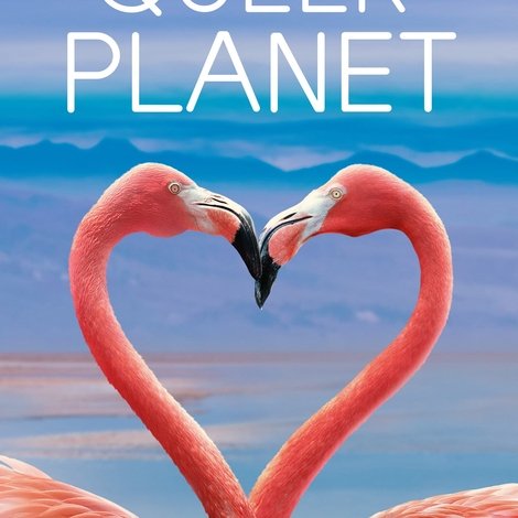 Queer Planet