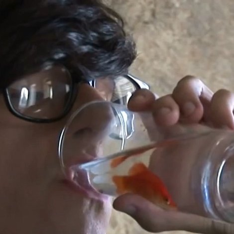 The State That I Am Fish