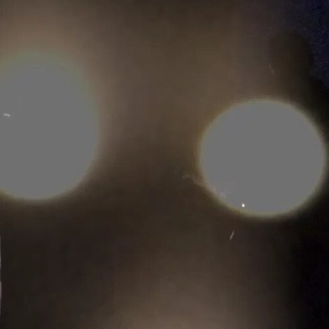 검은 옷을 입지 않았습니까?