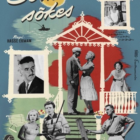 Sommarnöje sökes
