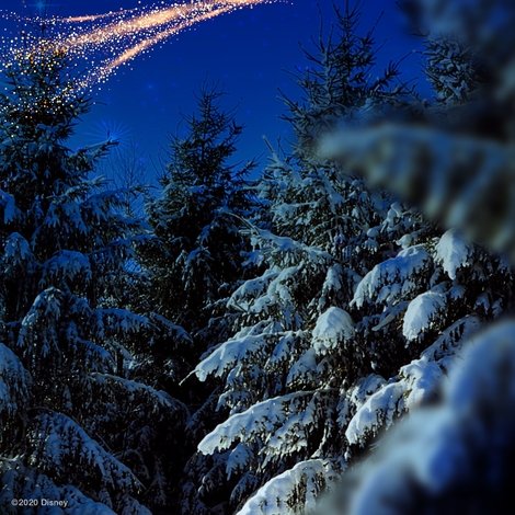 The Wonderful World of Disney: Magical Holiday Celebration