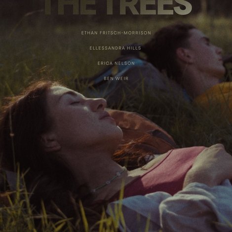 Under The Trees