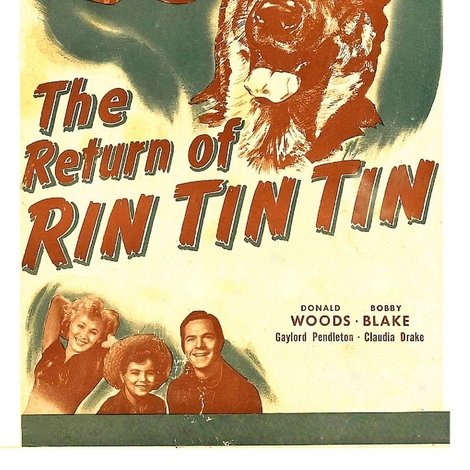 The Return of Rin Tin Tin