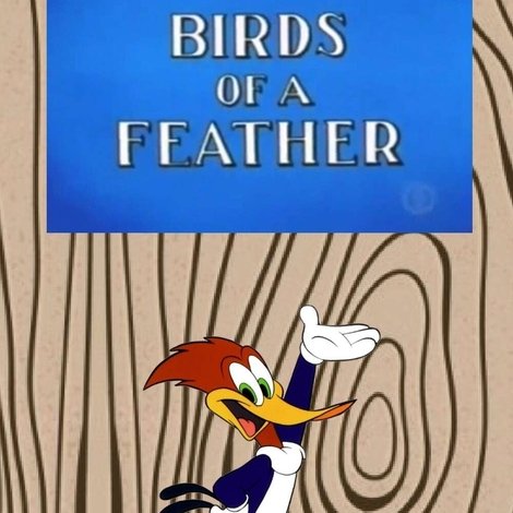 Birds of a Feather