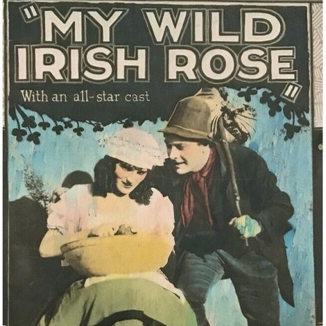 My Wild Irish Rose