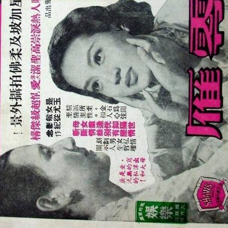 零雁