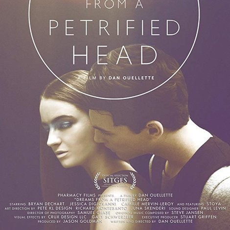 Dreams from a Petrified Head