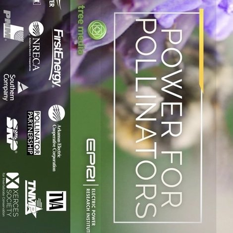 Power for Pollinators