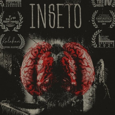 Inseto