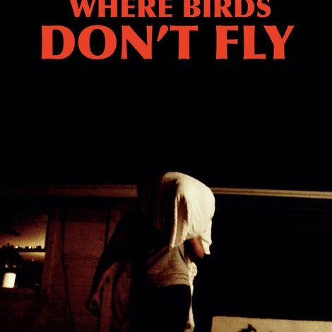 Where Birds Don't Fly