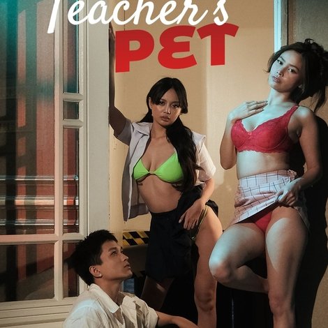 Teacher's Pet