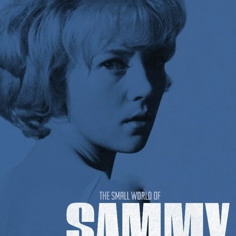 The Small World of Sammy Lee