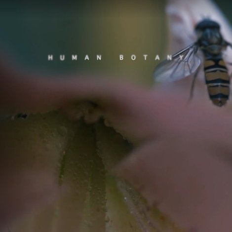Human Botany