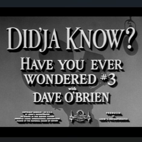 Did'ja Know?