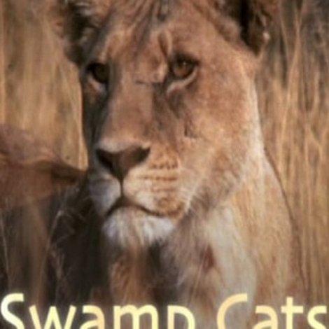 Swamp Cats