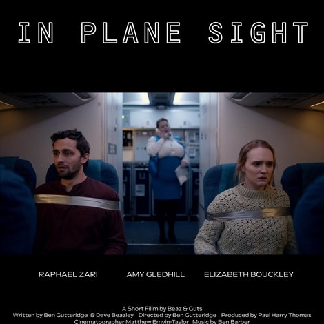 In Plane Sight
