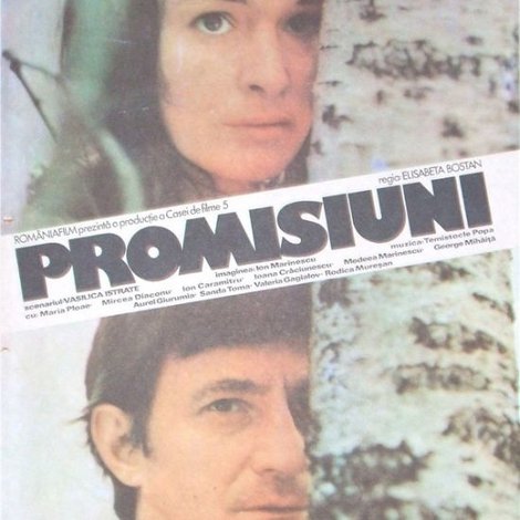 Promisiuni