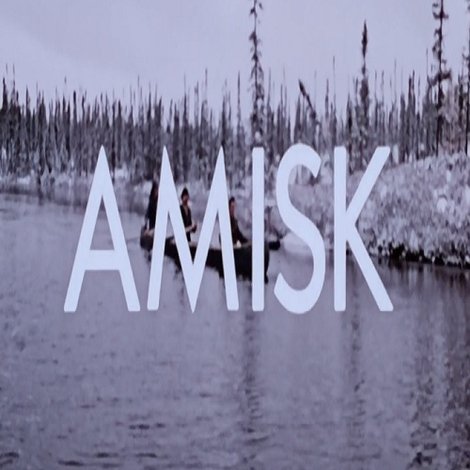 Amisk