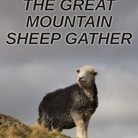 The Great Mountain Sheep Gather
