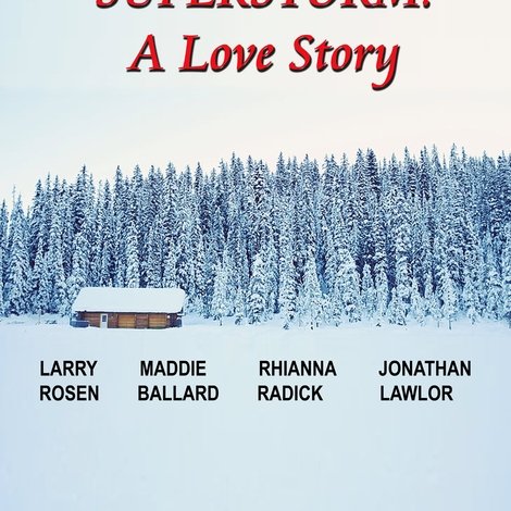 Superstorm: A Love Story