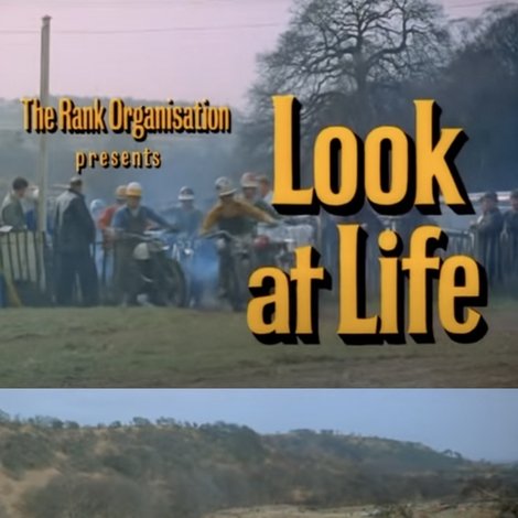 Look at Life: Scrambling for It