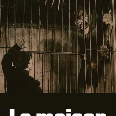 La maison des lions