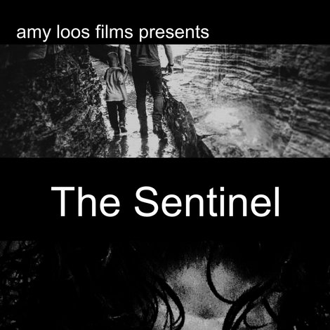 The Sentinel
