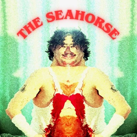 The Seahorse