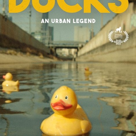 Ducks, an Urban Legend