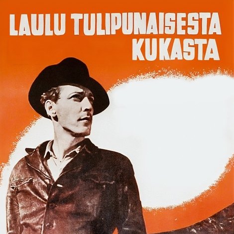 Laulu tulipunaisesta kukasta
