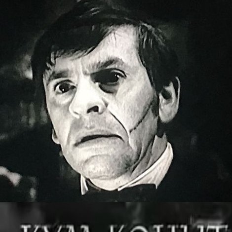 Kým kohút nezaspieva