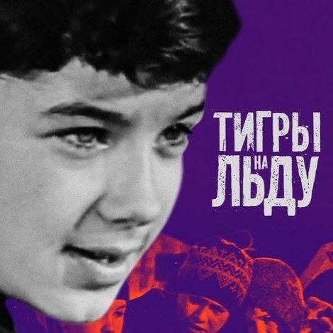 Тигры на льду