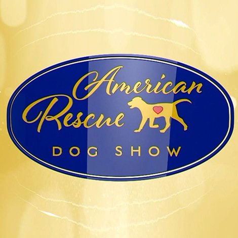 The 2018 American Rescue Dog Show