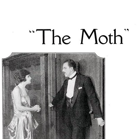 The Moth