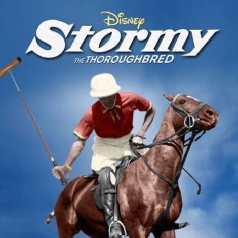 Stormy, the Thoroughbred
