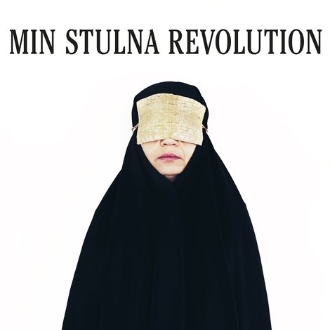 Min stulna revolution
