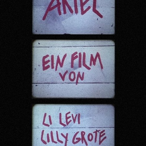 Ariel