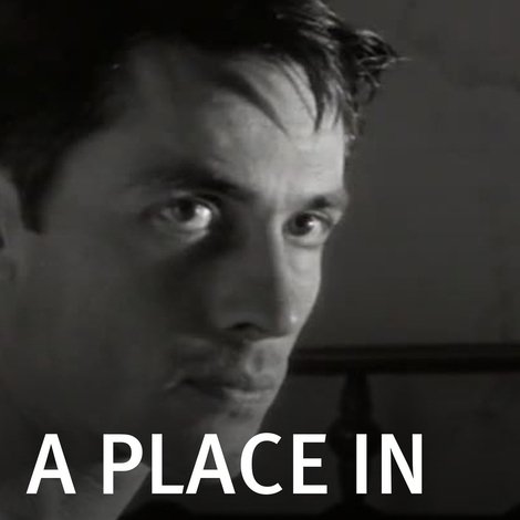 A Place in the Sun