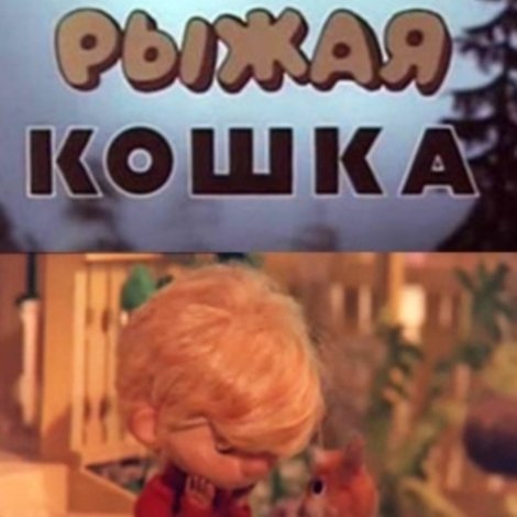 Рыжая кошка