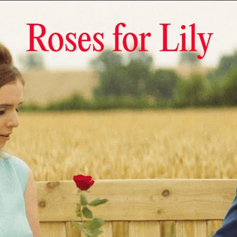 Roses for Lily