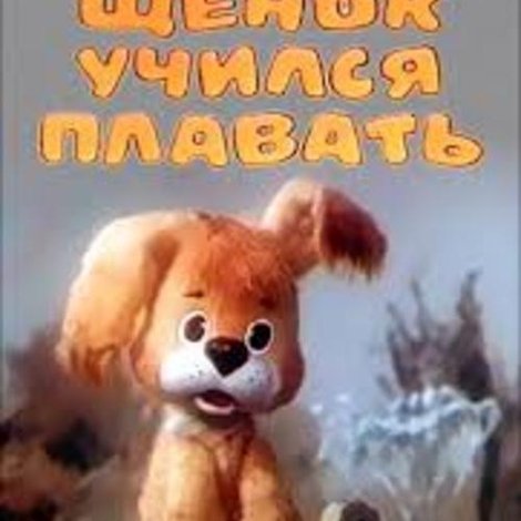Как щенок учился плавать